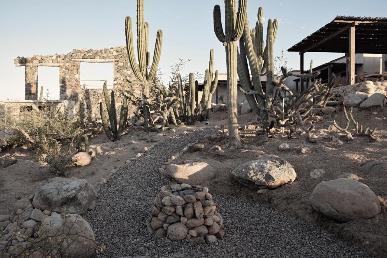 Desierto Azul Todos Santos Exterior foto